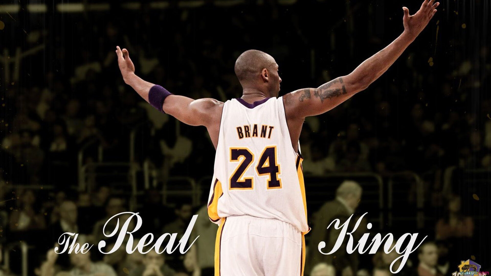 开云体育官方网站-猛龙打穿魔术，布克在意甲焦点战接管比赛，跨越体育的统治力